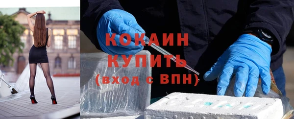 соль ск Новозыбков