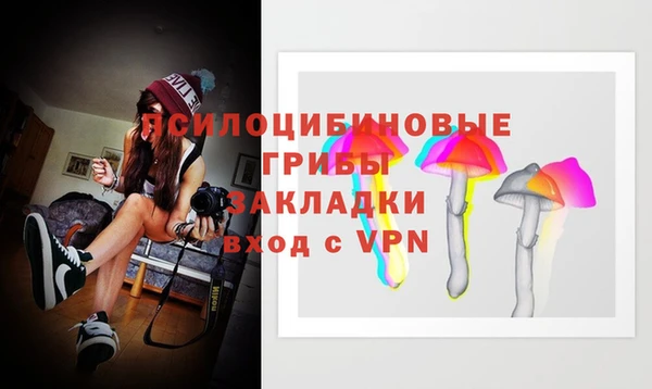 молекула духа Новокубанск