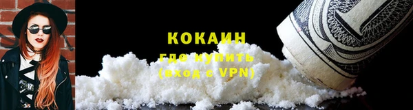 ПСИЛОЦИБИНОВЫЕ ГРИБЫ Новодвинск
