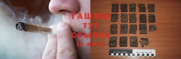 соль ск Новозыбков