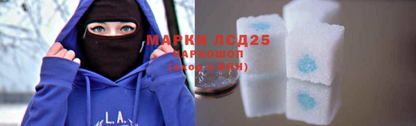 соль ск Новозыбков