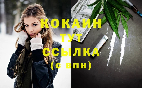 ПСИЛОЦИБИНОВЫЕ ГРИБЫ Щёлкино