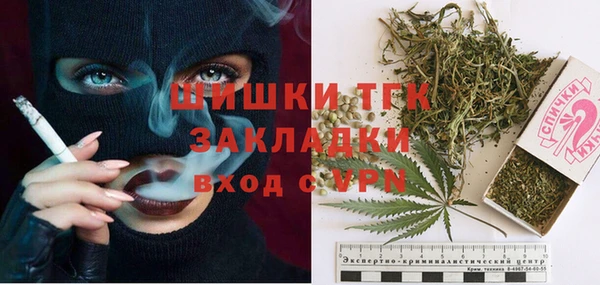 ПСИЛОЦИБИНОВЫЕ ГРИБЫ Новодвинск