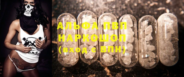 соль ск Новозыбков
