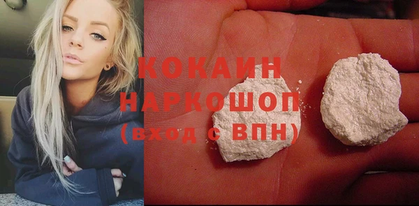 соль ск Новозыбков
