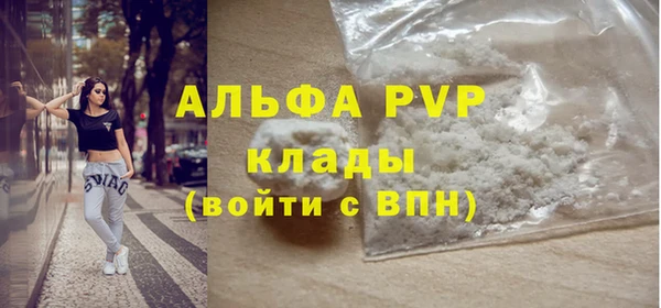 соль ск Новозыбков
