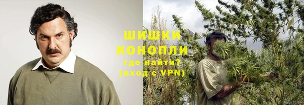 ПСИЛОЦИБИНОВЫЕ ГРИБЫ Щёлкино