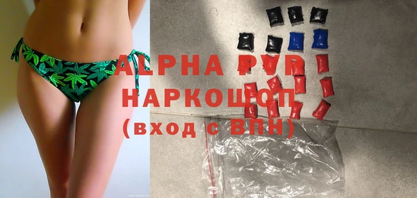 молекула духа Новокубанск